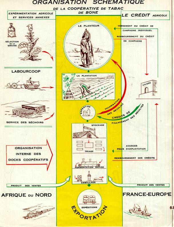 Photo Charles Ciantar