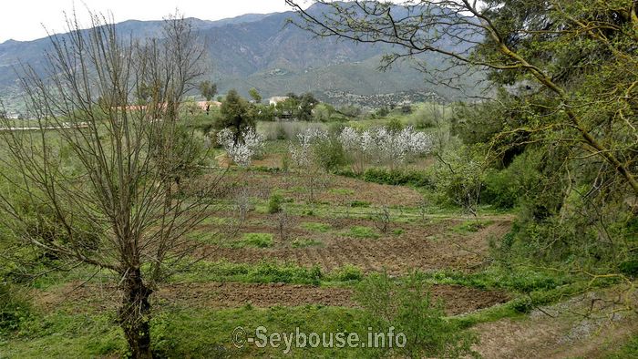 Photo Christian Lesavre