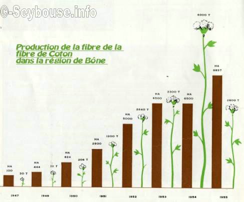 Photo envoye par M. Ciantar